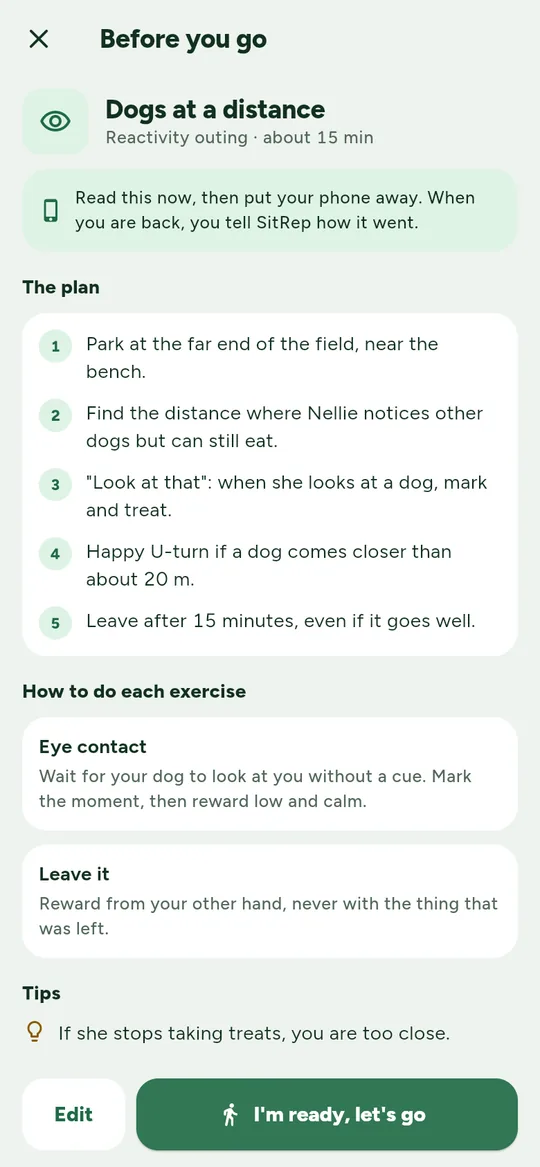 Before a phone-free outing: a five-step plan for training near other dogs, then put the phone away